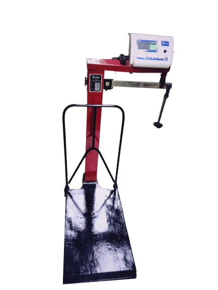 Platform scale conversion model